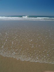 Coast