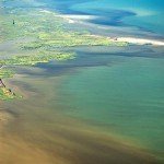 ORAP Role in the Gulf